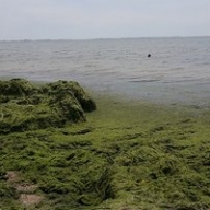 �� ������� ��������� ���� ���� ������������ � ������� ����