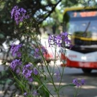 ������ �������� ����� ����� ������������ �� ��������