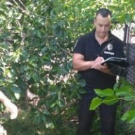 � ������������ ������� ������� ���� �������� �� ����� - �������� ����������