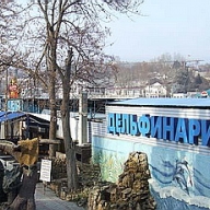 В Севастополе произошел силовой захват дельфинария. В атаке подозревают одесситов / Протестующих разгоняют огнетушителями В Севастополе произошел силовой захват дельфинария. В атаке подозревают одесситов / Протестующих разгоняют огнетушителями