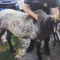 � ��������� ���� ������� ������� ����� 