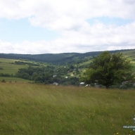 На Старосабірщині судитимуть голову сільради за підробку документів На Старосабірщині судитимуть голову сільради за підробку документів