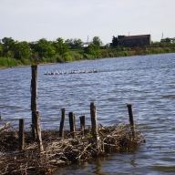 У Бузькому районі шукають місцевого мешканця, який можливо потонув У Бузькому районі шукають місцевого мешканця, який можливо потонув