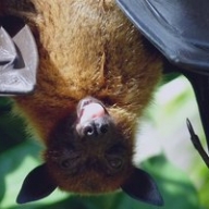 � ��������� ����������� ������ ������� �� 