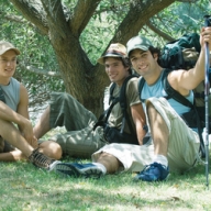 �������� �������� ���������� � ����� 