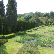 У Ботанічному саду ЛНУ імені Івана Франка день відкритих дверей У Ботанічному саду ЛНУ імені Івана Франка день відкритих дверей