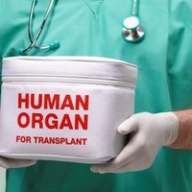 �������������� ��-����������: ���� ������� � ��������