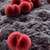 � ��������� ������������� ������ �� �������� �������