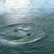 У Городоцькому районі в озері виявили тіло чоловіка У Городоцькому районі в озері виявили тіло чоловіка