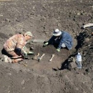 Под Харьковом археологи провели раскопки в районе Под Харьковом археологи провели раскопки в районе