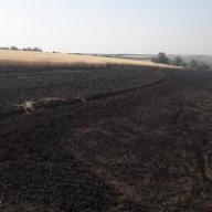 В Запорожской области разгорелся земельный спор между селянами и фермером В Запорожской области разгорелся земельный спор между селянами и фермером