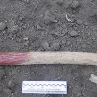 � �������� ������� ������� ���� ����� ��-�� ������� ����