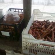 ����-��������� �������� ��������� �������볻 ������� �� ����