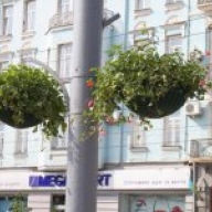 �� ��� ������ � ³����� ���������� ������