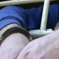 � ��������� ������� ��������� ������� ����������: ������������ ��������� 