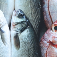 � ����������� ������� ��������� ���������� � ������� ������