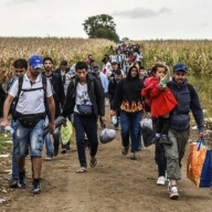 � ��������� ������ ��� �������� ��-�� ������ ������ 29 ����� � �������������