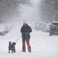 �������� � ������ ����������, ��� ���������� ����������� �����