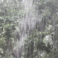 �������� �������� �� ��������������� ������: ��� ���� ������