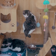 ����� ������������: ��������� ����� �������� ������ ��� �� ����� ����������