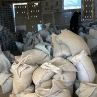 ����� ���� ������ � ���������: � �������� ������� ����� 