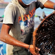 По всему миру 700 миллионов работающих людей живут за чертой бедности По всему миру 700 миллионов работающих людей живут за чертой бедности