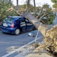 В Италии из-за сильного ветра погибли три человека В Италии из-за сильного ветра погибли три человека