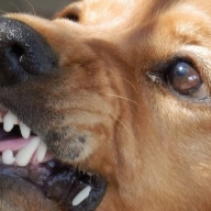 � ��������� ���������� ������ �������� �������