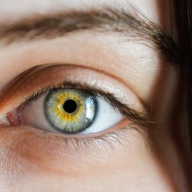 � ������ �������� ������ ����������� ��������� �� ��������� �������� �����