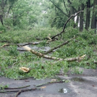 ������ � ����� ������� � ������ ������� � ������ �����