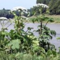 ³�������� �� ����� ������ �������� �������. ³� ��������� ����� �������� ����