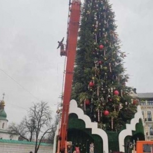 В Киеве демонтируют главную елку страны В Киеве демонтируют главную елку страны