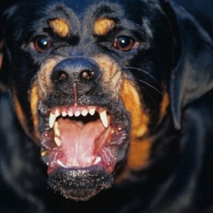 � ������ ��������� ������� ������� �� ����������: ������ �����������