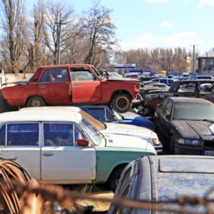 ����� �� ������������� � ������: ����� �������� ������� ������ (����)