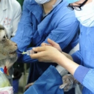 ������ ������� � ���� ������� ���������� �������� ������ �������������  ������