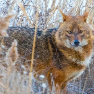 � �������� ������� ������� ����� ����� �� ��������