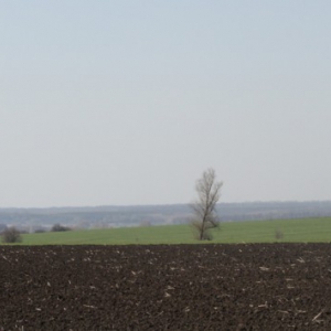 ����� ��� ��������� ���: � ���������� ����������, ��� ����� ��������