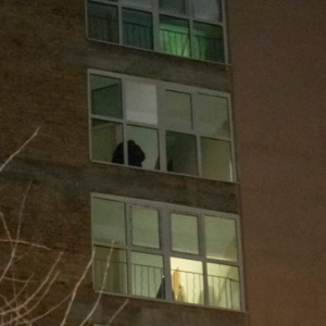 � ����� ������� �������, ������� ��������� �������, ��������� �������