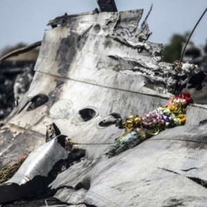 ������ ������ �� MH17 ����� ���� ��������� �������� ������� - ����� �������