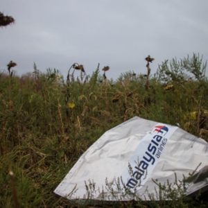 �������� ����������� �� ���� MH17 ������� �������� ��������� � ����� �������