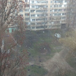 � ����� ����� ����: �����