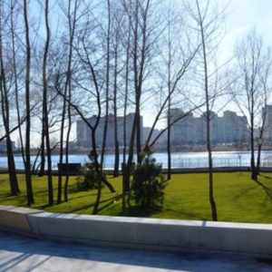   :       - COVID-19