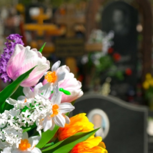 � ����� ������� �������� � ��������� ����������� ���