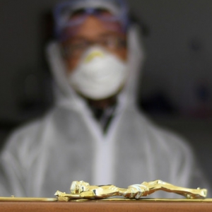 � ����� ���������������� 20-�� ������ �� ������������