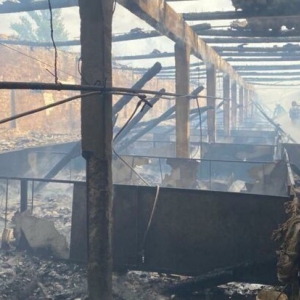 � �������� ������� ��� ������ �� ����� ������� ����� 100 �������