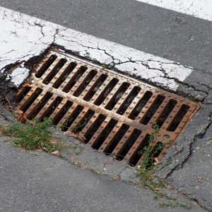 � ������ ������, ���� ������ 15 ������� ������� ����������, ������� ������ ������