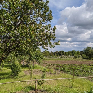 � ������ �������� �������� ������ ������� ��� �� ���� �ᒺ��� (������)