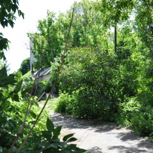 �������� �� ��������� ���������� ���������������� �� ���� ����������