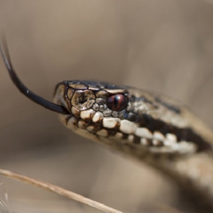 � ������ ����� ����������� ����� ��� � ����� �������� � ������� �������� ������