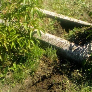 �� ���������� ��������� �������, ���� ������ ������� ������ � 30 �����